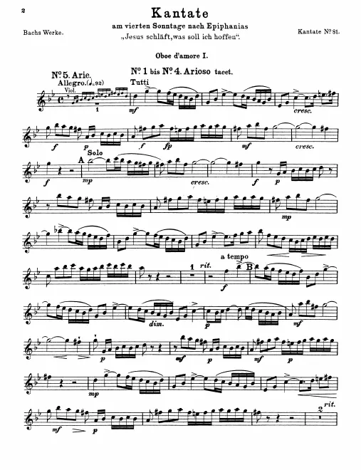 Oboe d'amore 1
