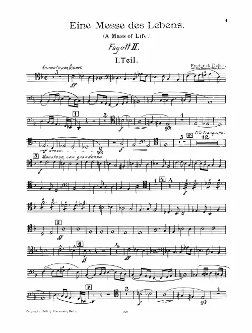 Bassoon 2