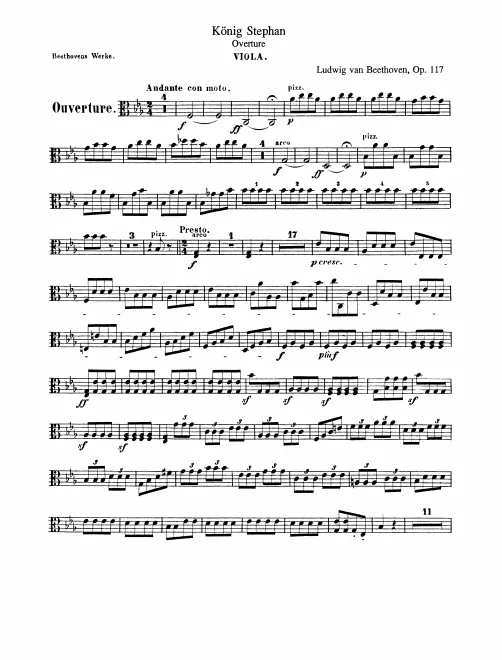 Violas