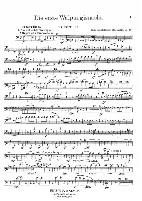 Bassoon 2