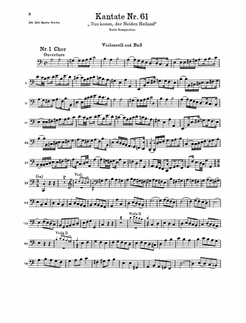 Cellos/Basses