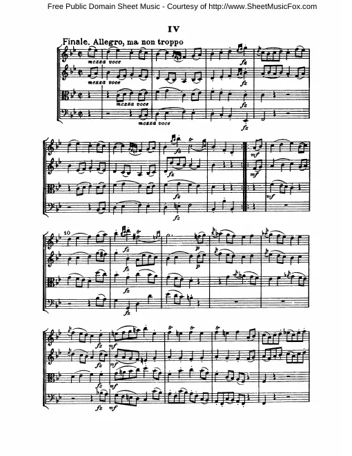 4. Finale