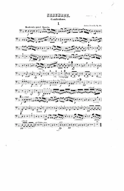Double Bass