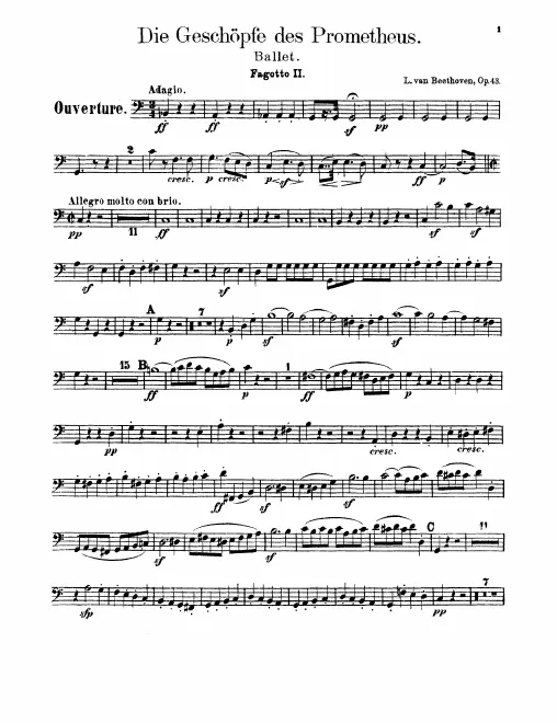 Bassoon 2