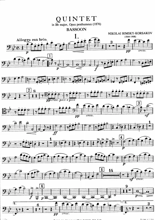 Bassoon