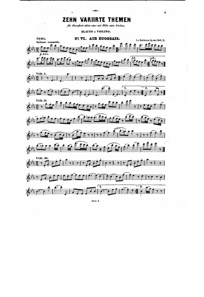Flute / Violin