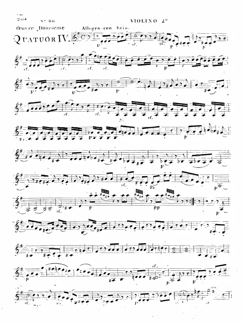 Violin 2