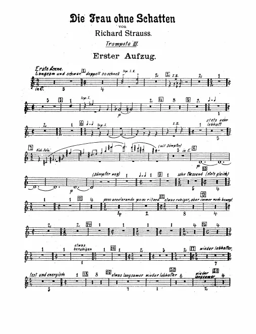 Trumpet 3