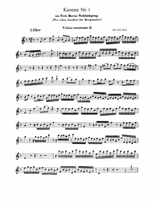 Violin 2 (concertato)