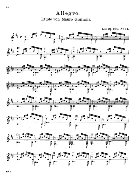 No.14 - Allegro