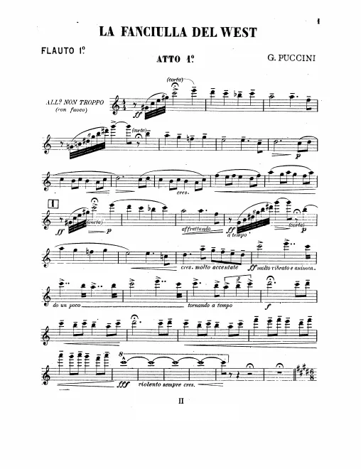 Flute 1