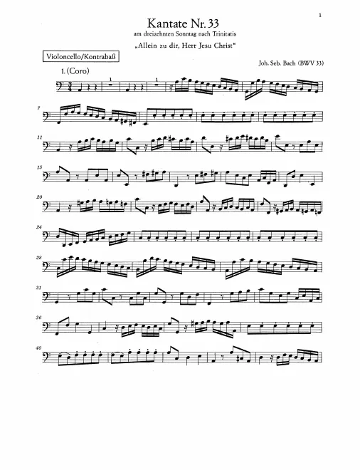 Cellos/Basses