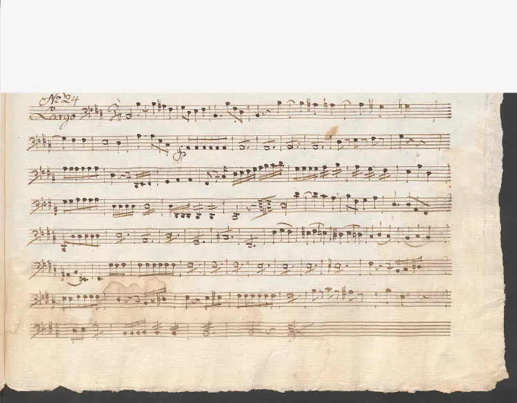 Cello