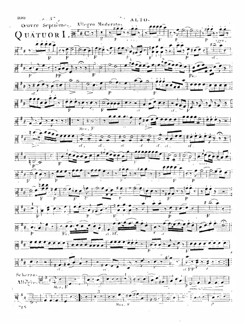 Viola