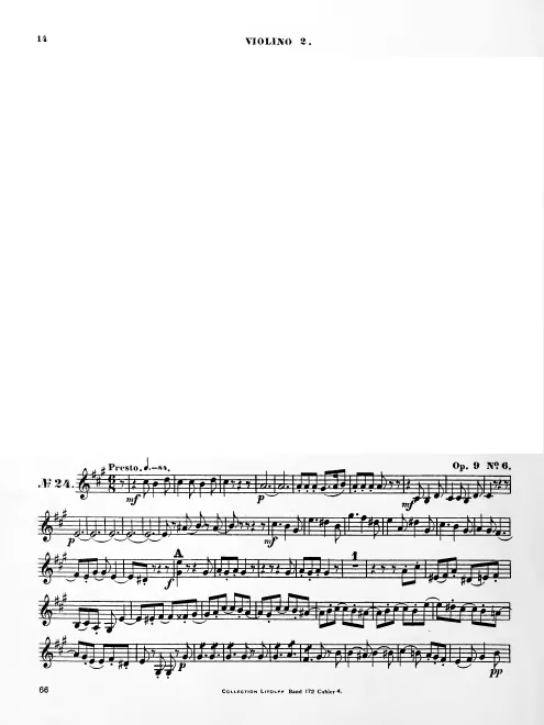 Violin 2