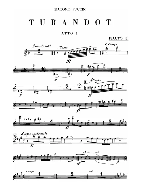Flute 2