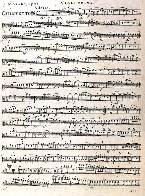 Viola 1