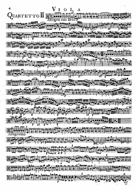Viola