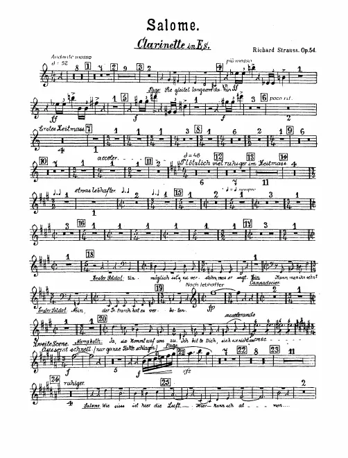 Piccolo Clarinet (E)