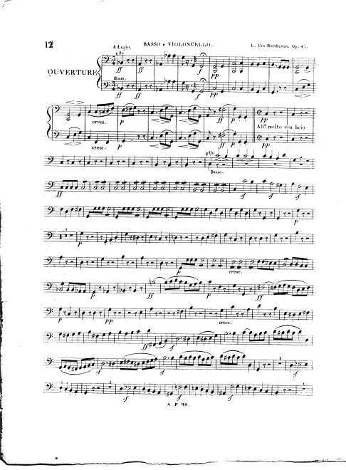 Cellos/Basses