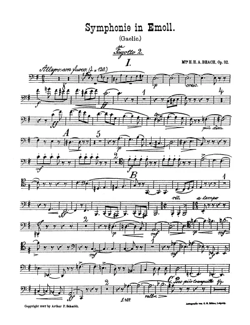 Bassoon 2