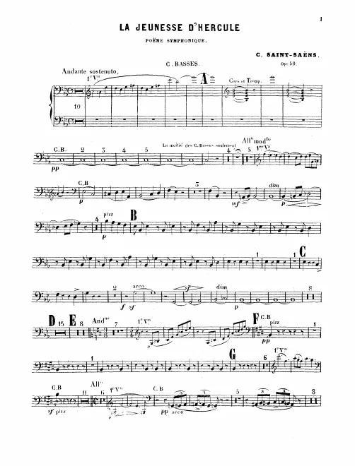 Basses