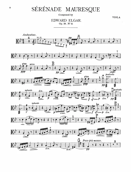 Violas