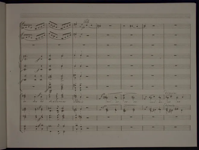 Segment 2