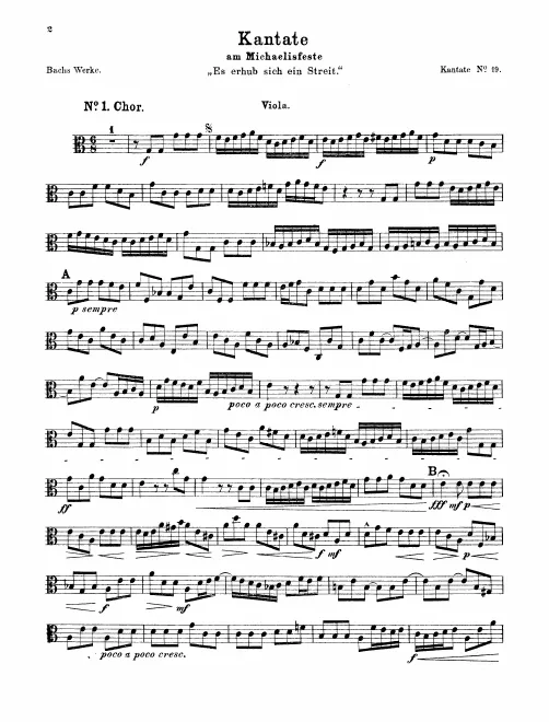 Violas
