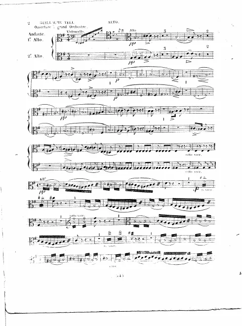 Violas