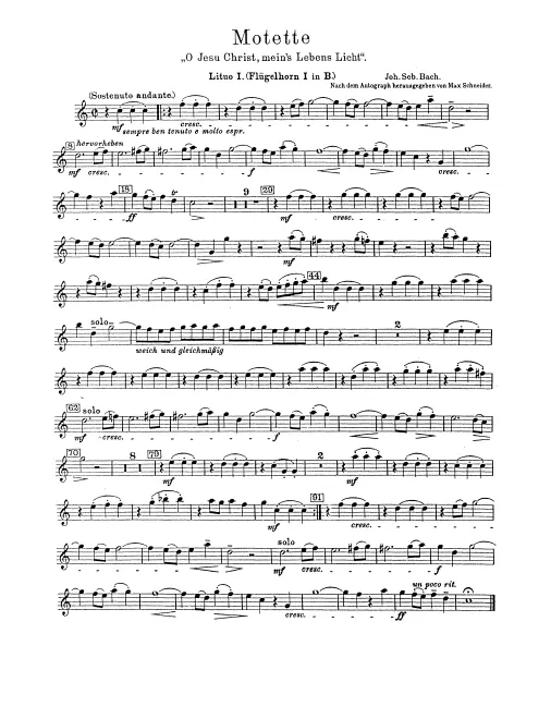Flugelhorn 1, 2 (B)