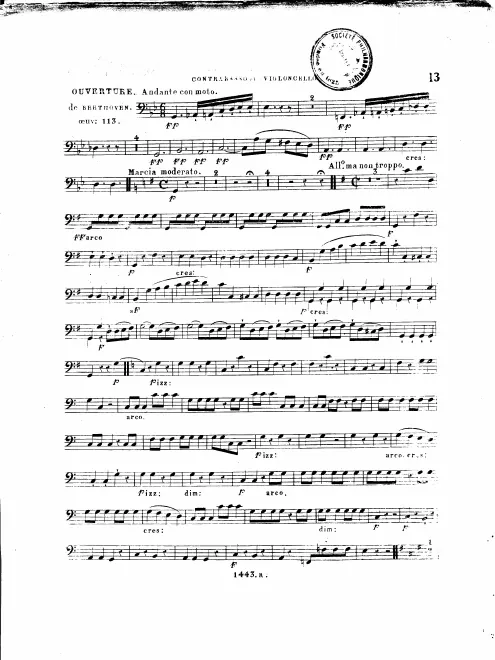 Cellos/Basses