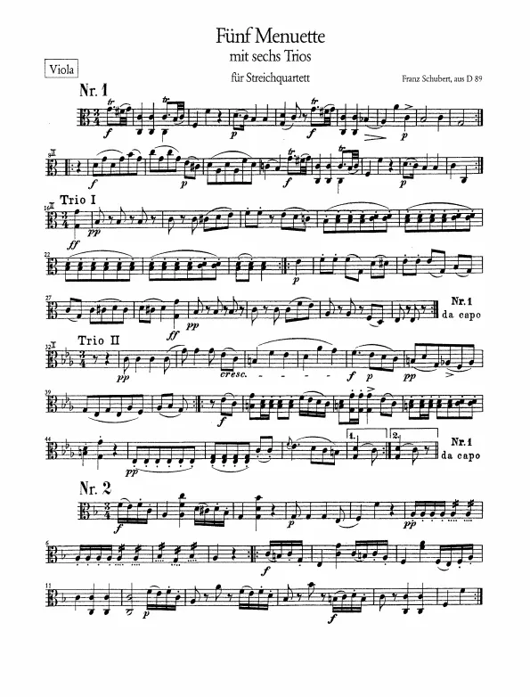 Viola