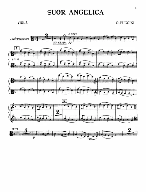 Violas