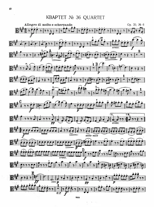 Viola