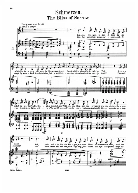 4. Schmerzen