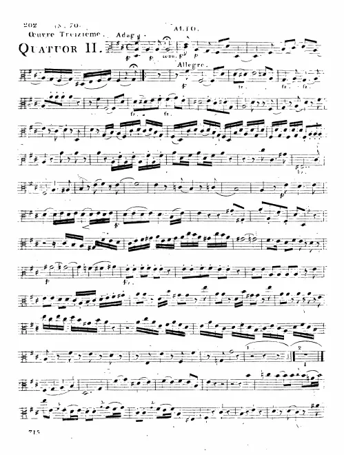Viola