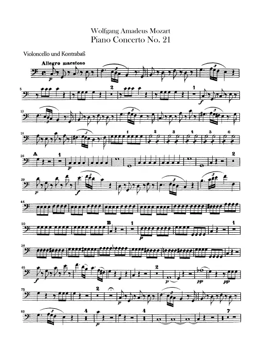 Cellos/Basses
