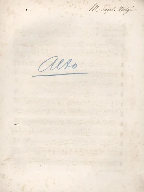 Viola
