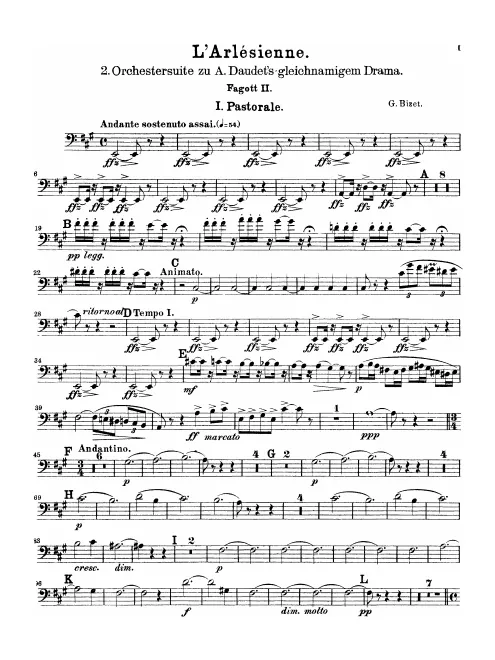 Bassoon 2