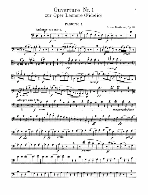 Bassoon 1, 2