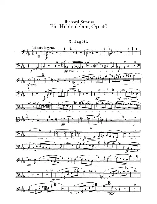 Bassoon 2