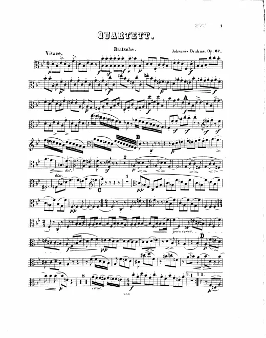 Viola