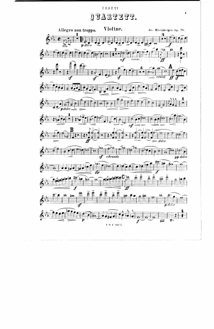 Violin