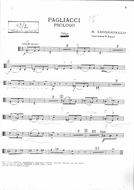 Violas