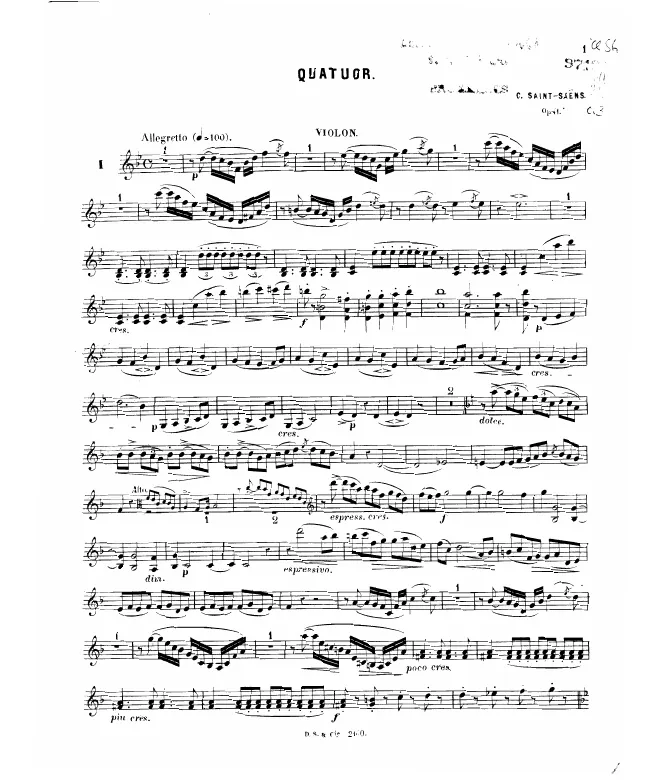 Violin