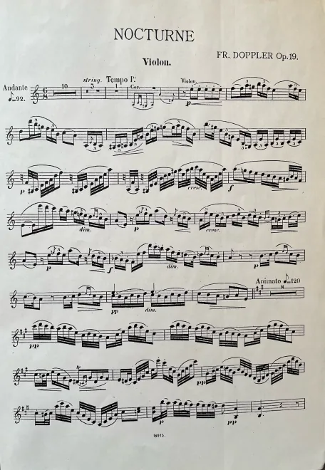 Violin