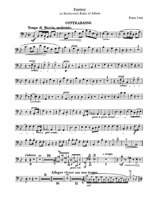 Basses