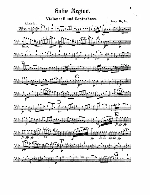 Cellos/Basses