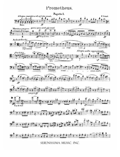 Bassoon 1